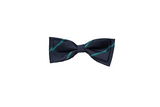 CHS Bow