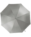 Automatic Umbrella Silver